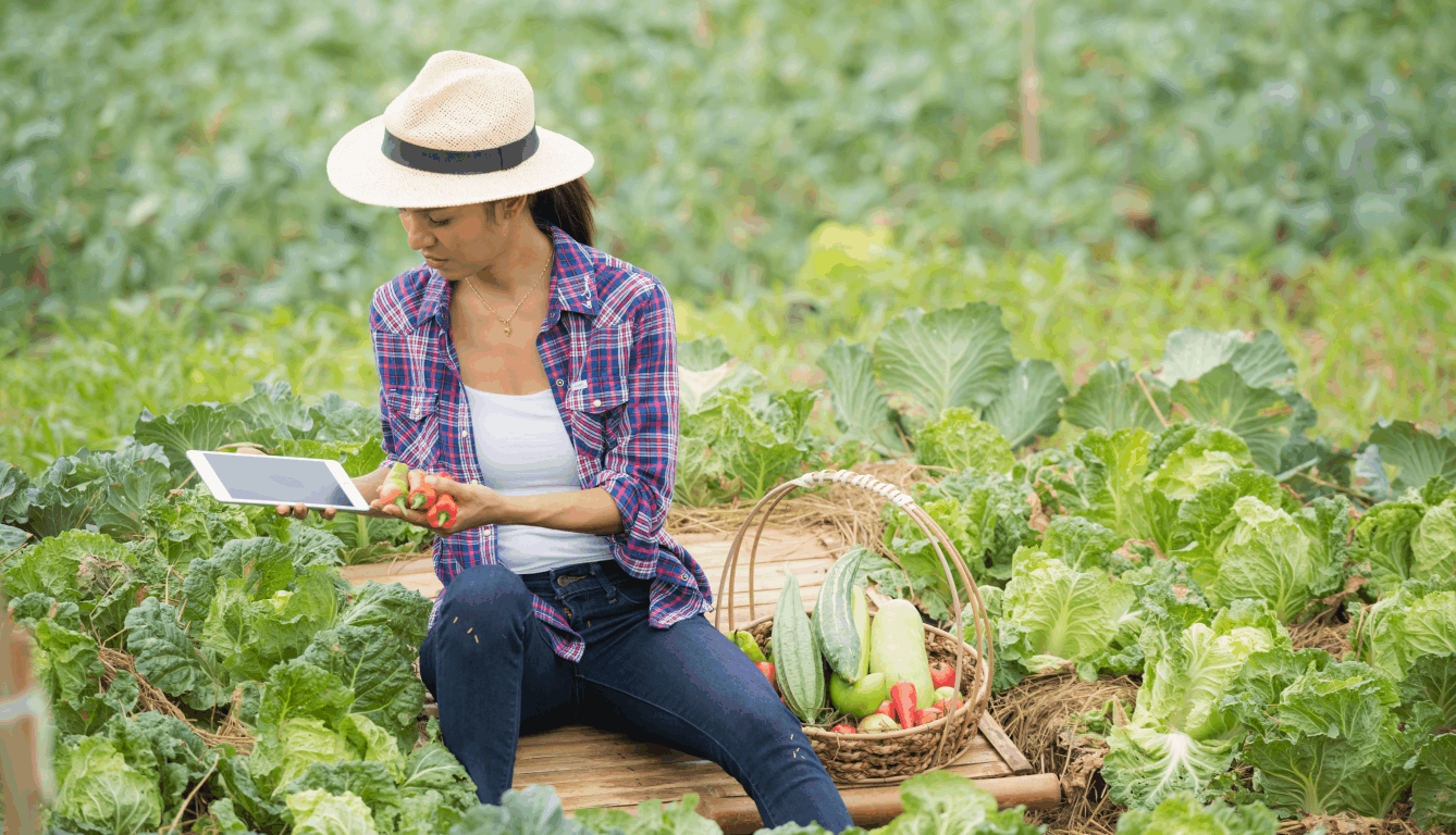 Agricultura Limpia