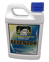 DEFENZOR X 500 mL - DESINFECTANTE FUNGICIDA MONOBÁSICO CONCENTRADO