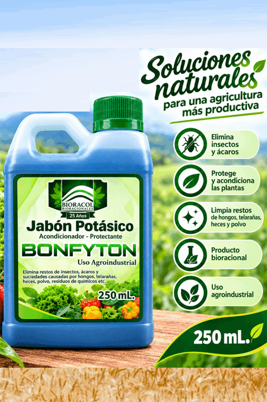 BONFYTON - JABÓN POTÁSICO X 250 ml